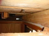 DSC02594.jpg