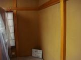 DSC02563.jpg
